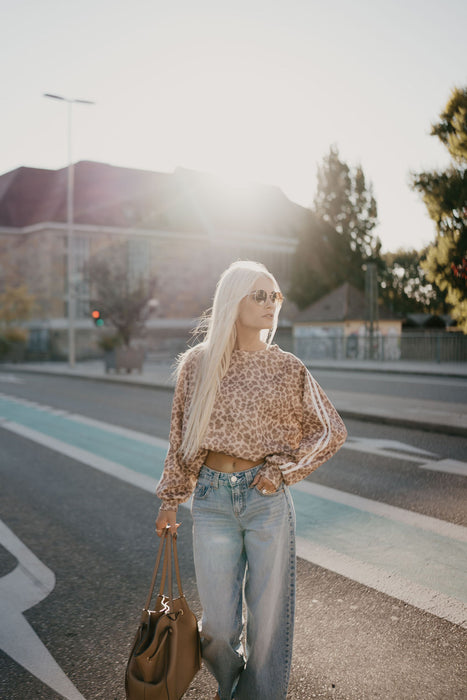Sweater Leo Camel