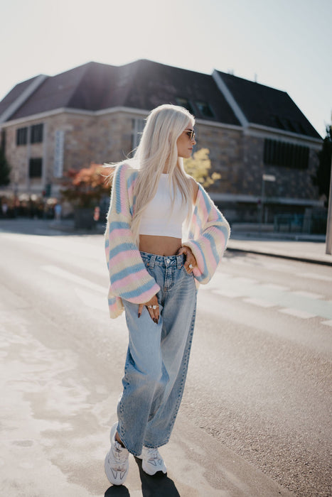Cardigan Rainbow