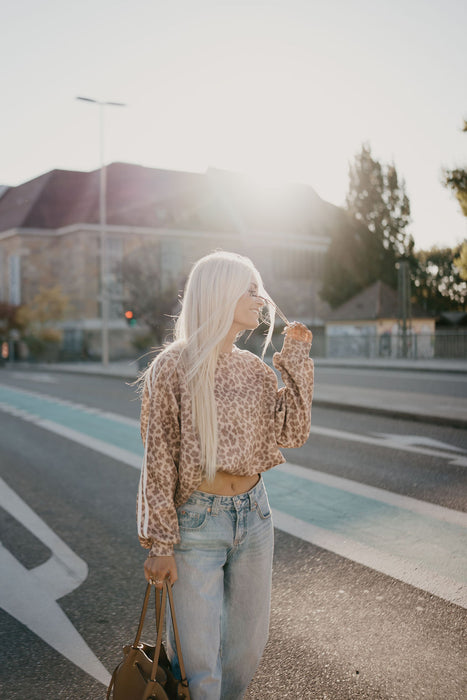 Sweater Leo Camel