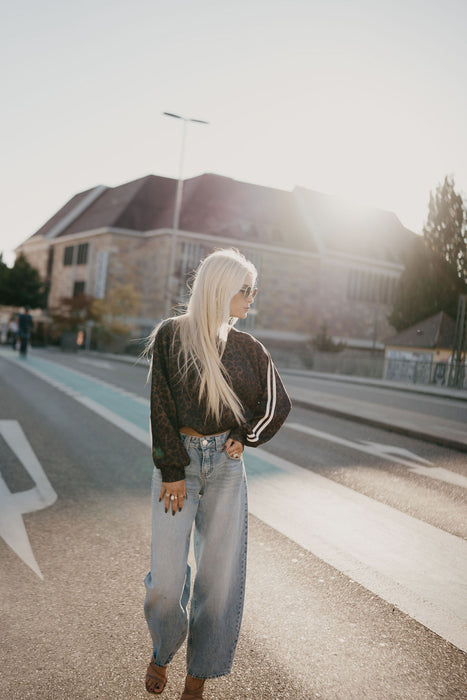 Sweater Leo Braun