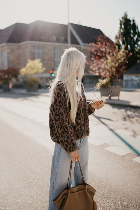 Cardigan Leo Braun