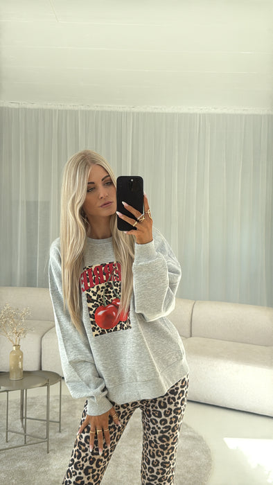 Sweater Leo Grey
