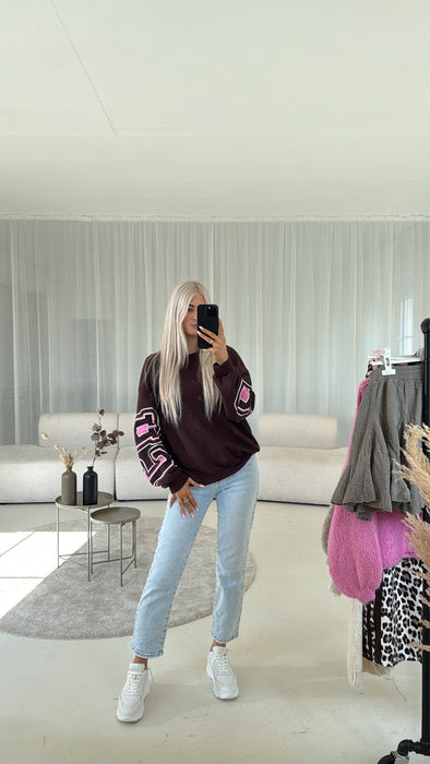 Sweater Chicago Braun