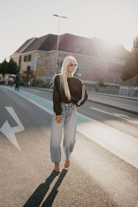 Sweater Leo Braun